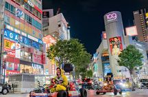 Shinjuku Go Karting Tour with Funny Costume