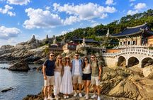 Busan Cruise Layover: Easy-Paced Highlights Tour(Max Guest 10pax)
