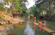 Elephant Sanctuary + Waterfall + Bamboo Rafting One Day Trip