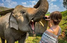 Elephant Sanctuary + Waterfall + Bamboo Rafting One Day Trip
