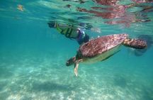 Tulum Ruins Akumal Turtle Snorkeling and Cenote Swim Small Group