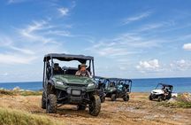 Aruba UTV & ATV Tour: Animal Garden, North Coast & Andicuri Beach
