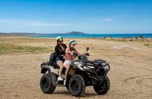 Aruba UTV & ATV Tour: Animal Garden, North Coast & Andicuri Beach