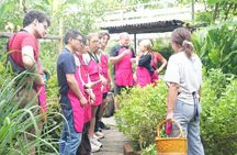 Authentic Thai Cooking Class Chiang Mai Old Town and Market Tour