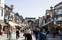 Snow Monkey Park, Zenko-ji Temple & Nagano Foodie Tour from Tokyo