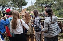Karen Blixen Museum Giraffe Center & Maasai Market Shopping Tour