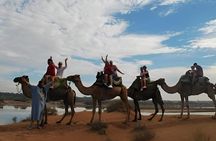 Sunset Barbecue Camel Ride from Agadir