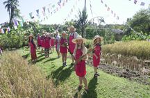 Organic Farm Thai Cooking Experience in Chiang Mai Market Tour