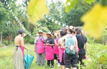 Organic Farm Thai Cooking Experience in Chiang Mai Market Tour