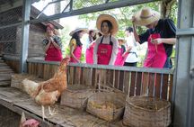 Organic Farm Thai Cooking Experience in Chiang Mai Market Tour