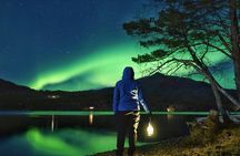 Aurora Moments Guided Northern Lights Tour in Bodø
