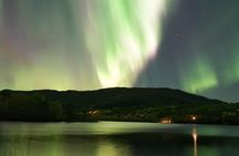 Aurora Moments Guided Northern Lights Tour in Bodø