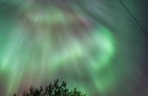 Aurora Moments Guided Northern Lights Tour in Bodø