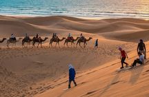 Agadir: Timlaline Desert & Paradise valey with camel ride & lunch