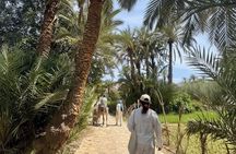 Agadir: Taroudant & Tiout guided Day Trip with Lunch & Pickup