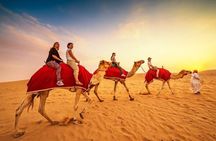 Premium Red Dune Safari Quad Biking, Camel Ride & Camp Activities