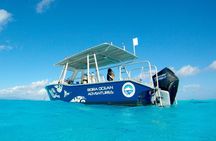 Private Romantic Scuba Experience with Tahitian Black Pearl