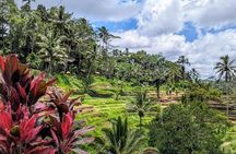 Bali Cave Tubing Adventure with Rice Terrace and Lunch