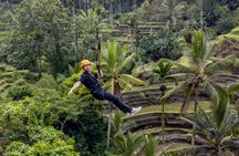 Bali Cave Tubing Adventure with Rice Terrace and Lunch