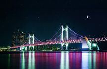 Busan Night One Day Tour Maximum 7 Pax