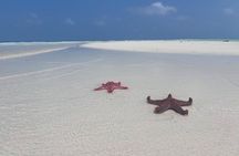 Zanzibar Starfish and Blue Lagoon snorkeling Tour