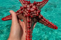 Zanzibar Starfish and Blue Lagoon snorkeling Tour