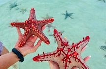 Zanzibar Starfish and Blue Lagoon snorkeling Tour