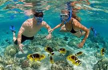 Zanzibar Starfish and Blue Lagoon snorkeling Tour