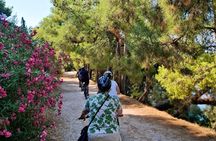 Nafplio Small Group E-Bike Tour