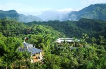 Official Vallarta Botanical Garden Tour with a Biologist