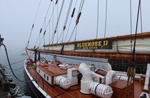 Peggy’s cove and Lunenburg heritage tour
