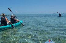 Nassau's #1 Kayaking Snorkeling Beach Bliss | Small Groups 6 Max