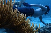 Nassau's #1 Kayaking Snorkeling Beach Bliss | Small Groups 6 Max