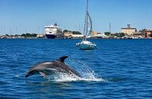 Yacht Tour in the Gulf of Cagliari with Aperitif