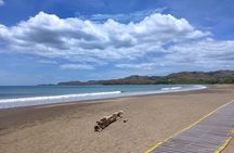 Exotic Beaches Excursion + Cool off in a waterfall (half day)