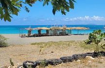 Port Royal and Bob Marley Beach Escape