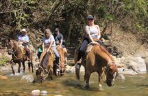 Horseback Riding Experience in Puerto Vallarta