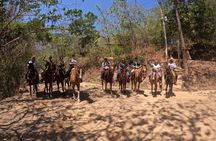 Horseback Riding Experience in Puerto Vallarta