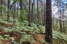 2 Days Sierra Norte Cloud Forest Adventure