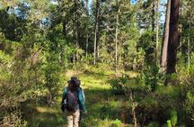 2 Days Sierra Norte Cloud Forest Adventure