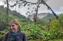 Trail in the Mombacho Volcano and Apoyo Lake