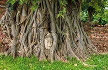 Small Group Ayutthaya UNESCO Temples Full-Day Tour by Alphard