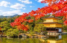 Kyoto and Nara 1-Day Bus Tour from Osaka or Kyoto