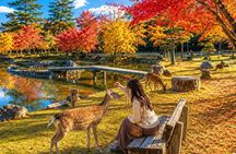 Kyoto and Nara 1-Day Bus Tour from Osaka or Kyoto