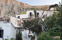 Athens Center Walking Tour with Plaka and Local Market