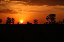 5 Days Tanzania Safari- Tarangire, Serengeti, Ngorongoro, Manyara