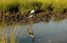 4 Days Tanzania Safari - Tarangire, Serengeti, Ngorongoro Crater