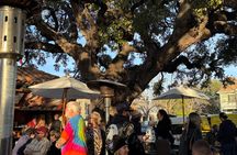 South Congress Austin Food Tour