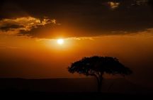7 Days Machame Route Trek Mount Kilimanjaro