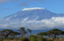 7 Days Machame Route Trek Mount Kilimanjaro
